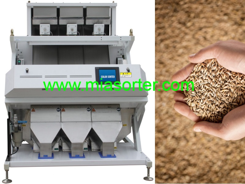 Hefei MIA Wheat Color Sorting Machine OEM Importer Exporter Manufacturer 2024-1