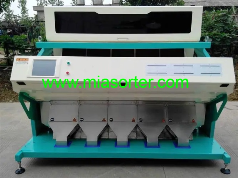 Hefei MIA Wheat Color Sorting Machine OEM Importer Exporter Manufacturer 2024-2