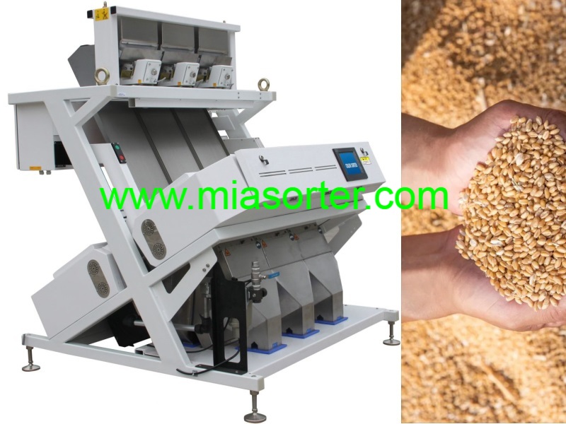 Hefei MIA Wheat Color Sorting Machine OEM Importer Exporter Manufacturer 2024-6