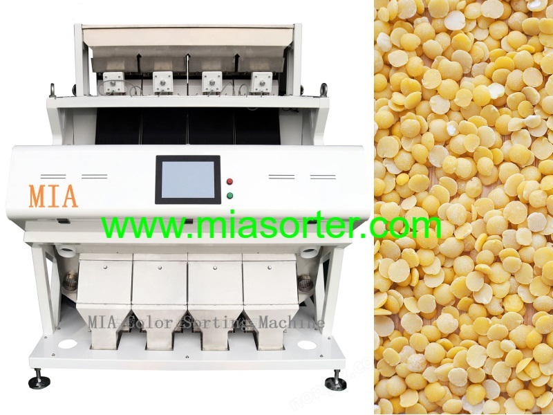 Hefei MIA Lentil Color Sorting Machine OEM Export Manufacturers Suppliers Dealers