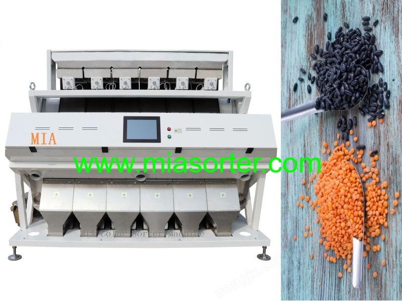 China Color Sorter Machine Exporter Manufacturer 2024
