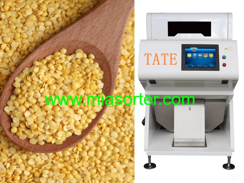 Hefei MIA Lentil Color Sorting Machine OEM Export Manufacturers Suppliers Dealers-3