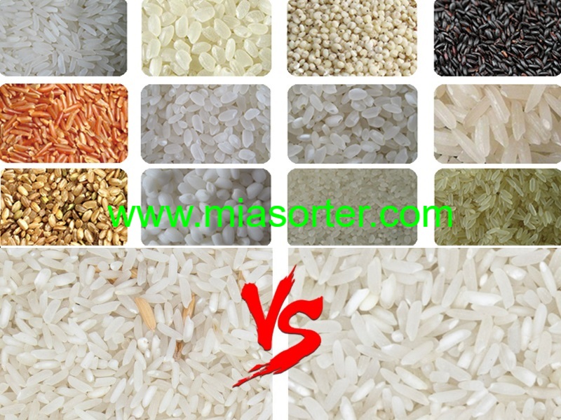 Rice Color Sorting Machine Manufacturer OEM Factory Price